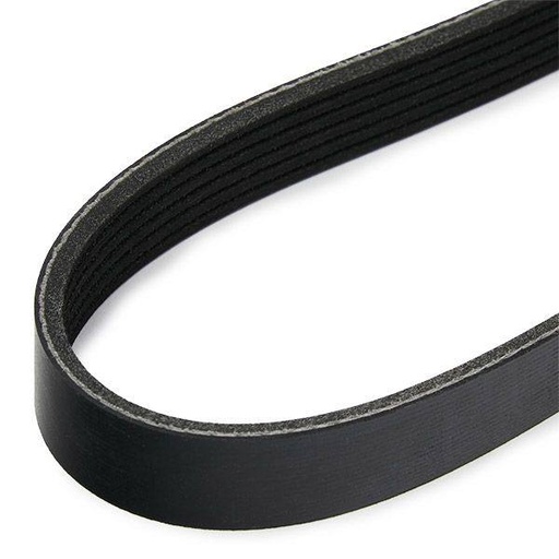[SUPP-6358-305P0614] V-ribbed Belt
