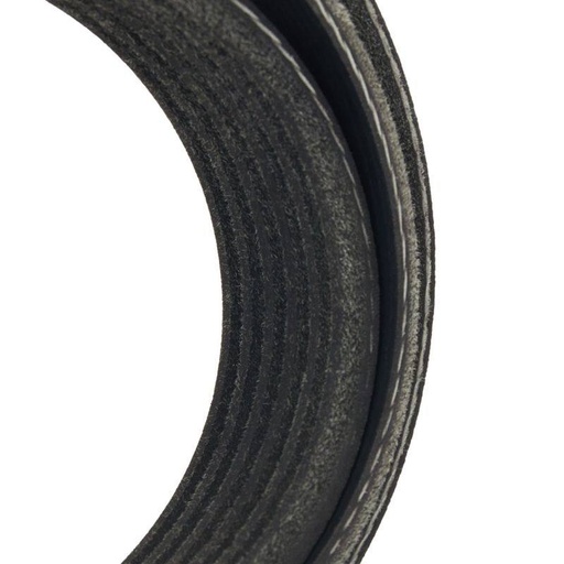 [SUPP-6358-305P0413] V-ribbed Belt