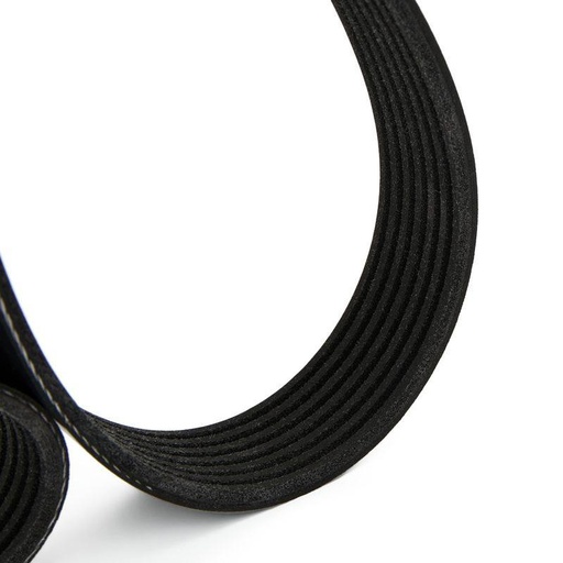 [SUPP-6358-305P0443] V-ribbed Belt