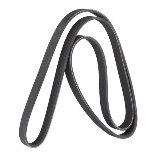 [SUPP-6358-305P0072] V-ribbed Belt