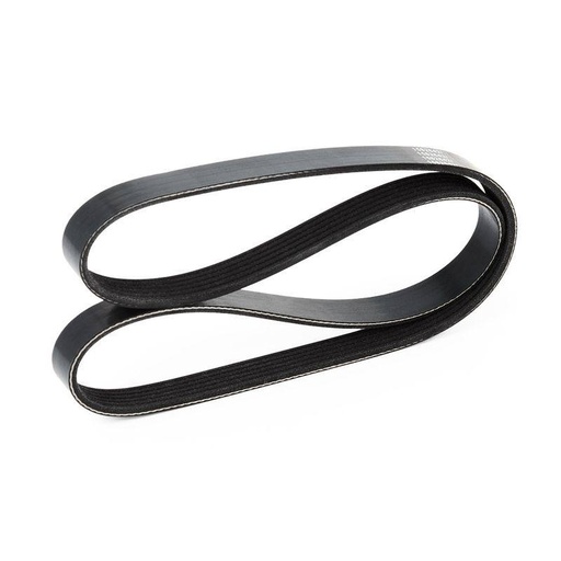 [SUPP-6358-305P0118] V-ribbed Belt