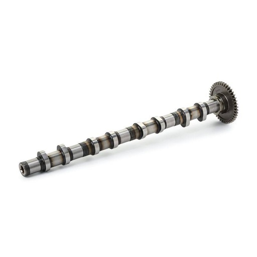 [ENG-MSC-RID-BMW-NEW-0040] Camshaft