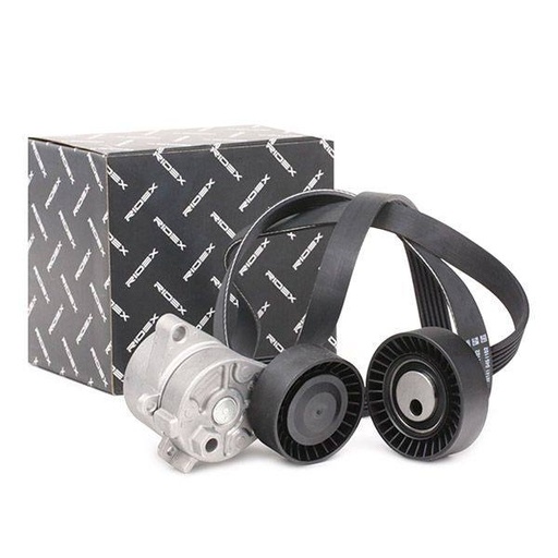 [SUPP-6358-542R0198] V-ribbed Belt Set