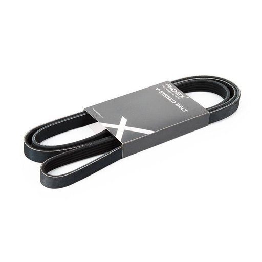 [SUPP-6358-305P0149] V-ribbed Belt