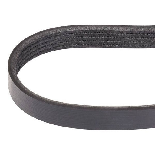 [SUPP-6358-305P0455] V-ribbed Belt