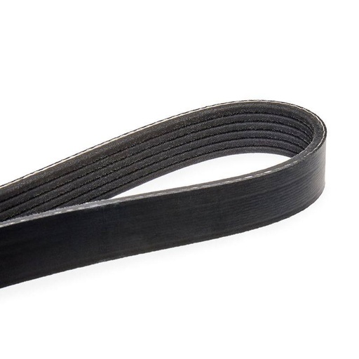 [SUPP-6358-305P0142] V-ribbed Belt