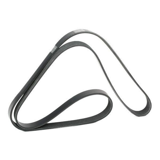 [SUPP-6358-305P0492] V-ribbed Belt