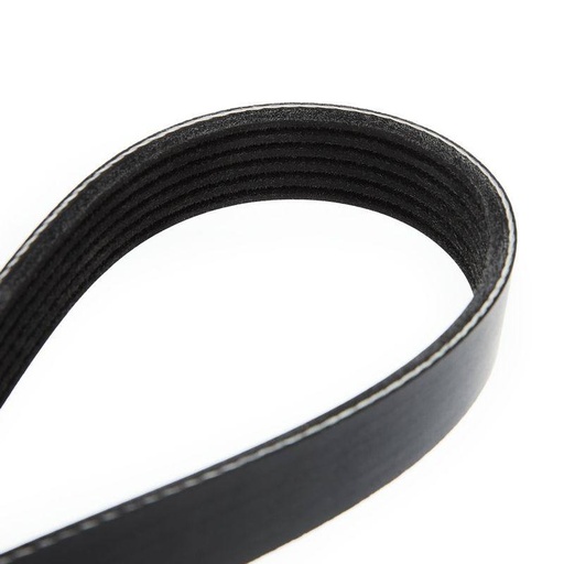 [SUPP-6358-305P0150] V-ribbed Belt