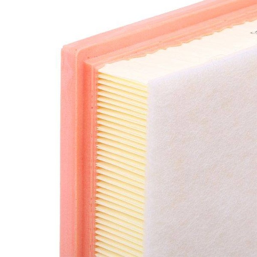 [FIL-AIR-RID-BMW-NEW-0013] Air Filter