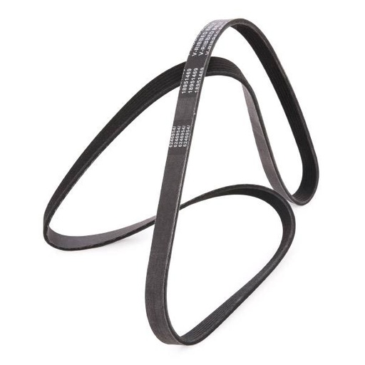 [SUPP-6358-305P0081P] V-ribbed Belt