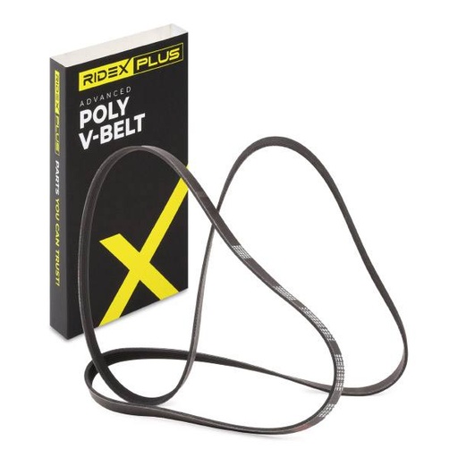[SUPP-6358-305P0178P] V-ribbed Belt