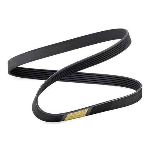 [SUPP-6358-305P0428] V-ribbed Belt