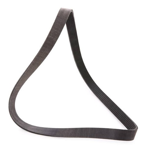 [SUPP-6358-305P0428P] V-ribbed Belt
