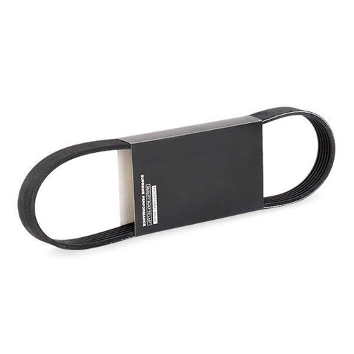 [SUPP-6358-305P0467] V-ribbed Belt