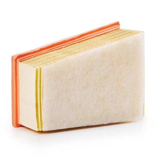 [FIL-AIR-RID-PEU-NEW-0054] Air Filter