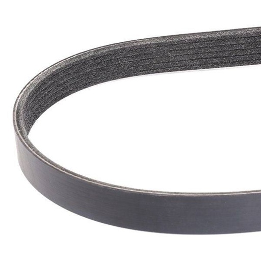 [SUPP-6358-305P0047] V-ribbed Belt