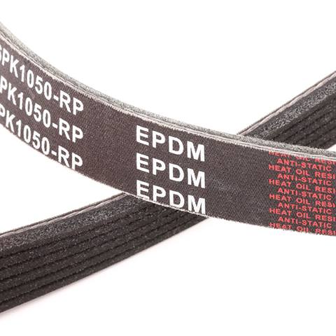 [SUPP-6358-305P0055P] V-ribbed Belt