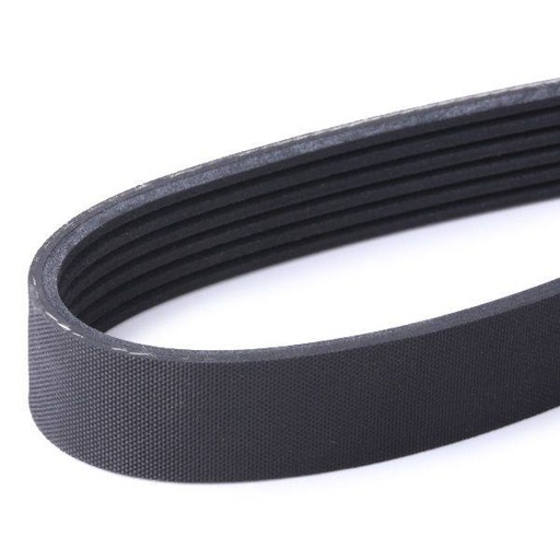 [SUPP-6358-305P0404] V-ribbed Belt