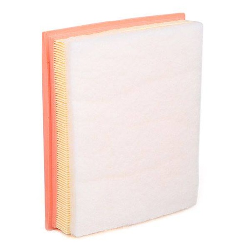 [FIL-AIR-RID-PEU-NEW-0004] Air Filter