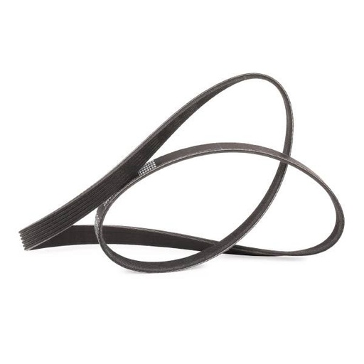 [SUPP-6358-305P0136P] V-ribbed Belt