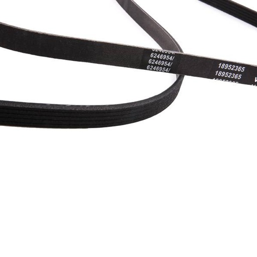 [SUPP-6358-305P0045P] V-ribbed Belt