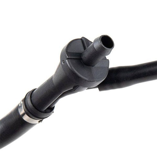 Hose, crankcase ventilation
