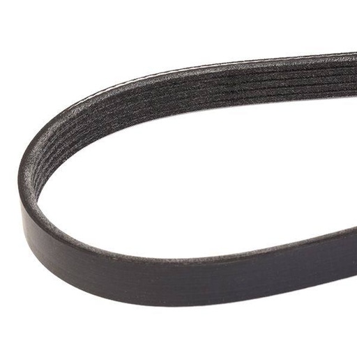 V-ribbed Belt
