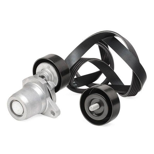 [SUPP-6358-542R0067] V-ribbed Belt Set