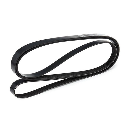 [SUPP-6358-305P0637] V-ribbed Belt