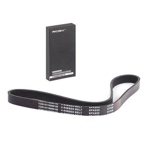 V-ribbed Belt