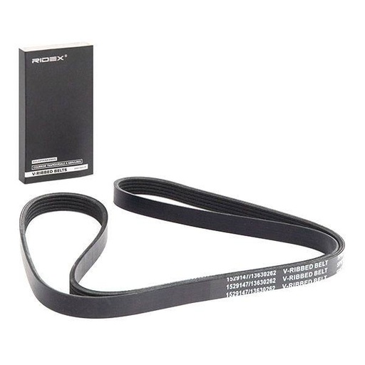 [SUPP-6358-305P0196] V-ribbed Belt