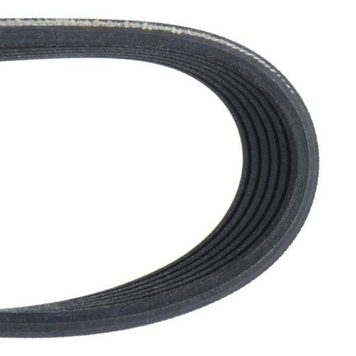 V-ribbed Belt