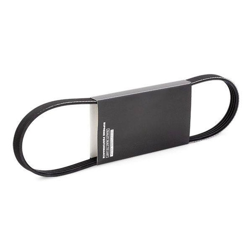 [SUPP-6358-305P0479] V-ribbed Belt