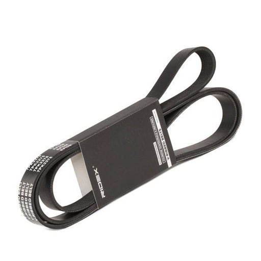 [SUPP-6358-305P0229] V-ribbed Belt