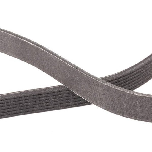 [SUPP-6358-305P0229P] V-ribbed Belt