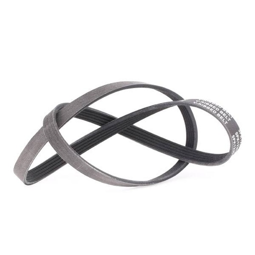 V-ribbed Belt
