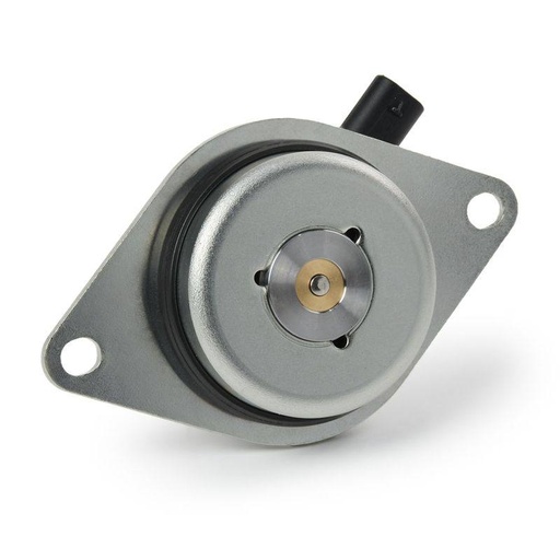 Central Magnet, camshaft adjustment