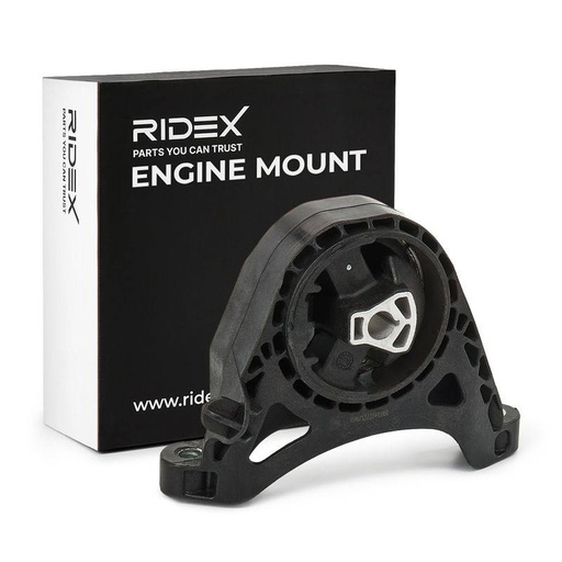 Mounting, engine