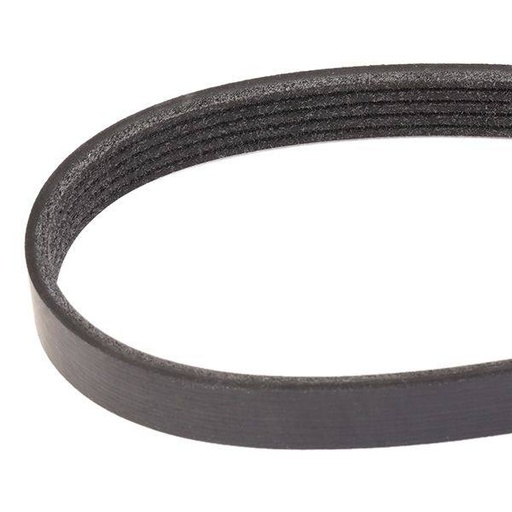 V-ribbed Belt