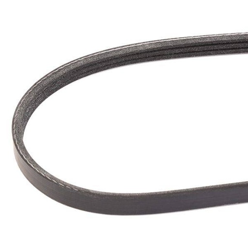 V-ribbed Belt
