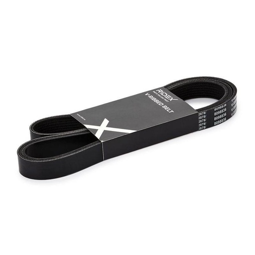 [SUPP-6358-305P0107] V-ribbed Belt