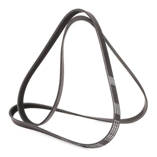 [SUPP-6358-305P0069P] V-ribbed Belt