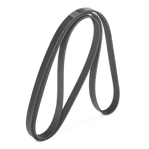 [SUPP-6358-305P0099P] V-ribbed Belt