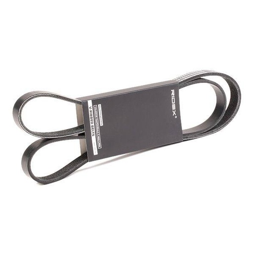 [SUPP-6358-305P0177] V-ribbed Belt