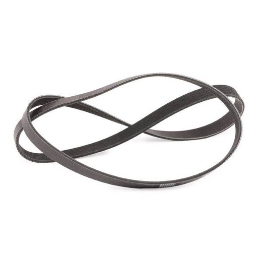 [SUPP-6358-305P0177P] V-ribbed Belt