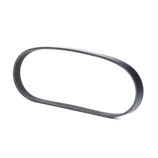 V-ribbed Belt