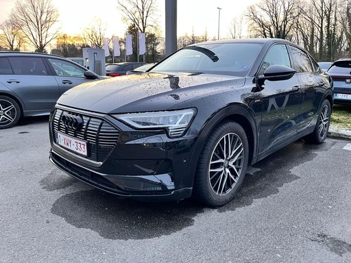 AUDI E-TRON (Year of Construction 2020, 408 PS, Electric)