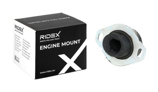 Mounting, engine