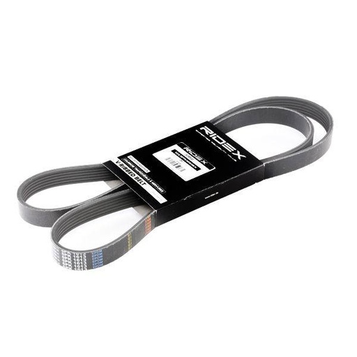 [SUPP-6358-305P0077] V-ribbed Belt