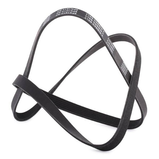 [SUPP-6358-305P0077P] V-ribbed Belt
